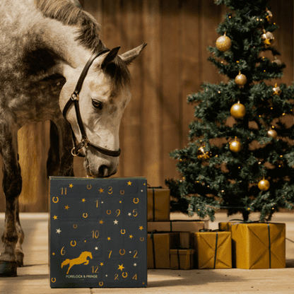 2025 – Paarden Adventskalender