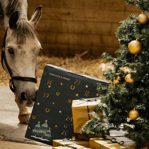 2025 – Paarden Adventskalender